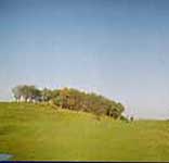 Click here for more on Hawick